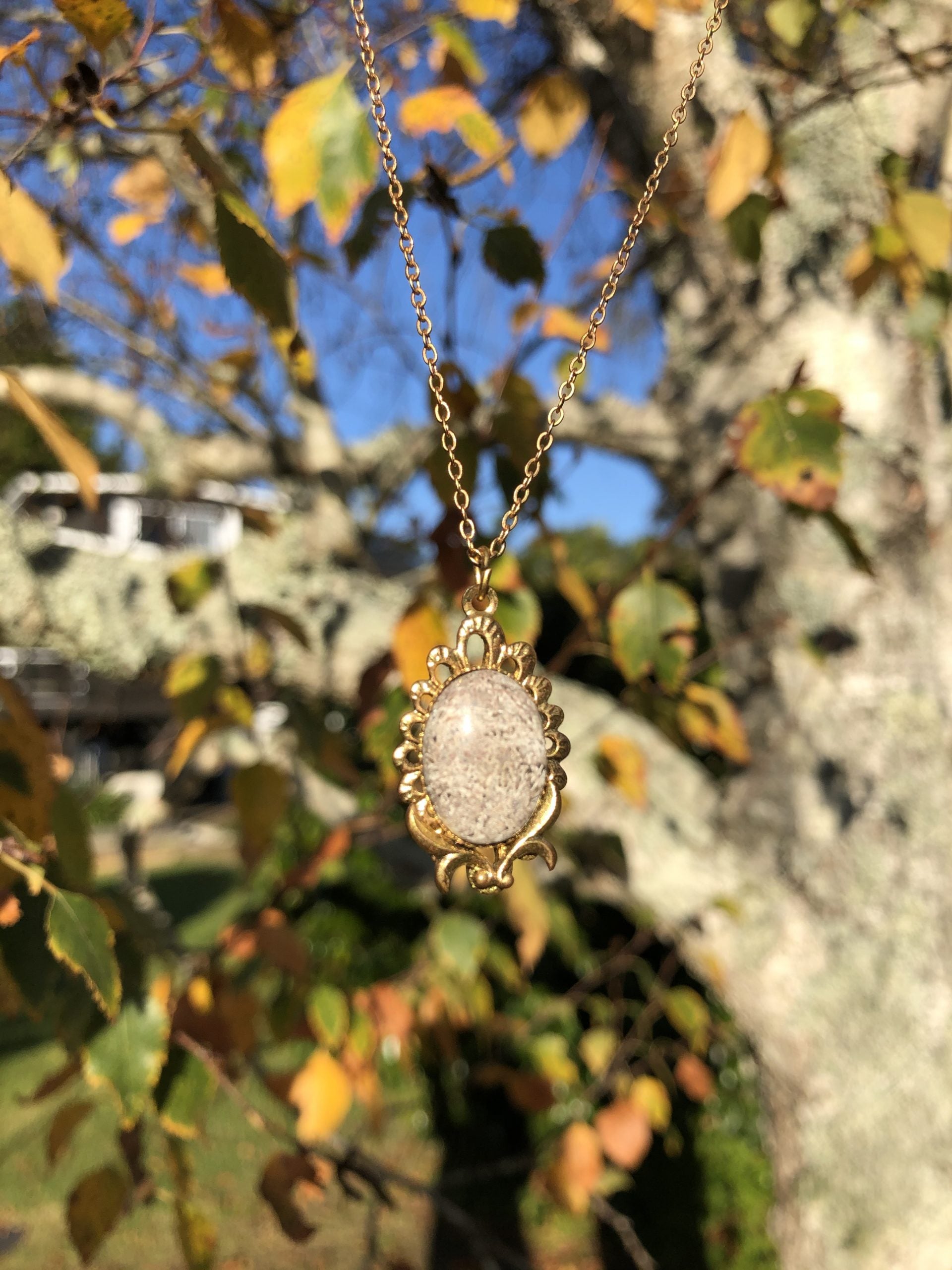 Necklace with Chrysanthemum Rhyolite from Tairua New Zealand with intricate gray and white chrysanthemum patterns, hand polished to a 15x11mm cabochon and set in a gold plated setting with 19 inch chain, with tree-2